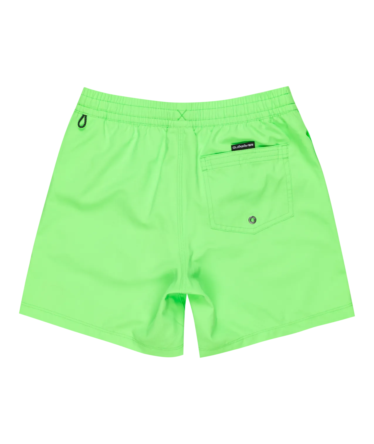 Boys Everyday Solid Volley Shorts in Green Gecko