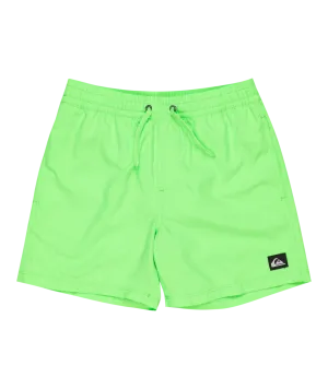Boys Everyday Solid Volley Shorts in Green Gecko