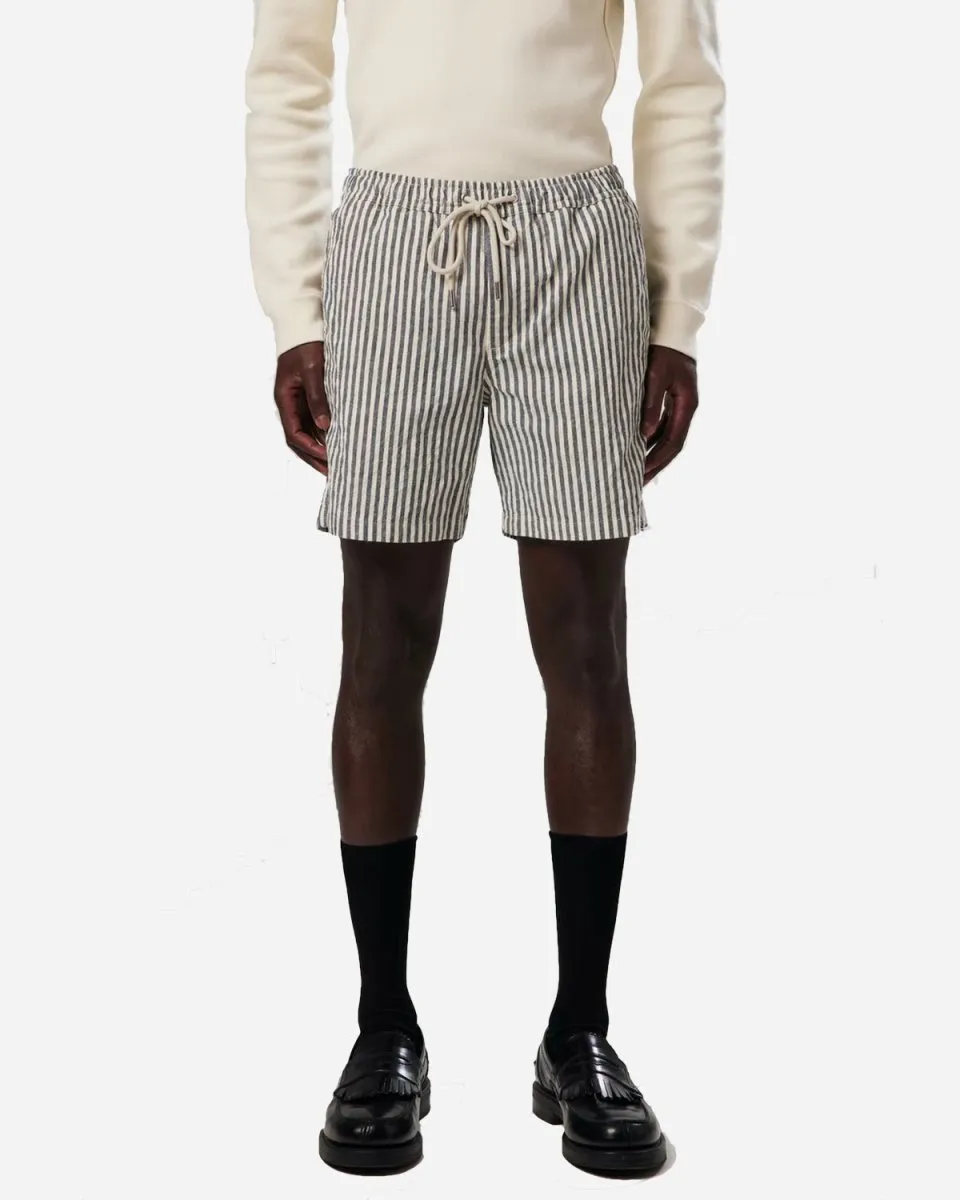 Gregor 5246 - Navy Stripe