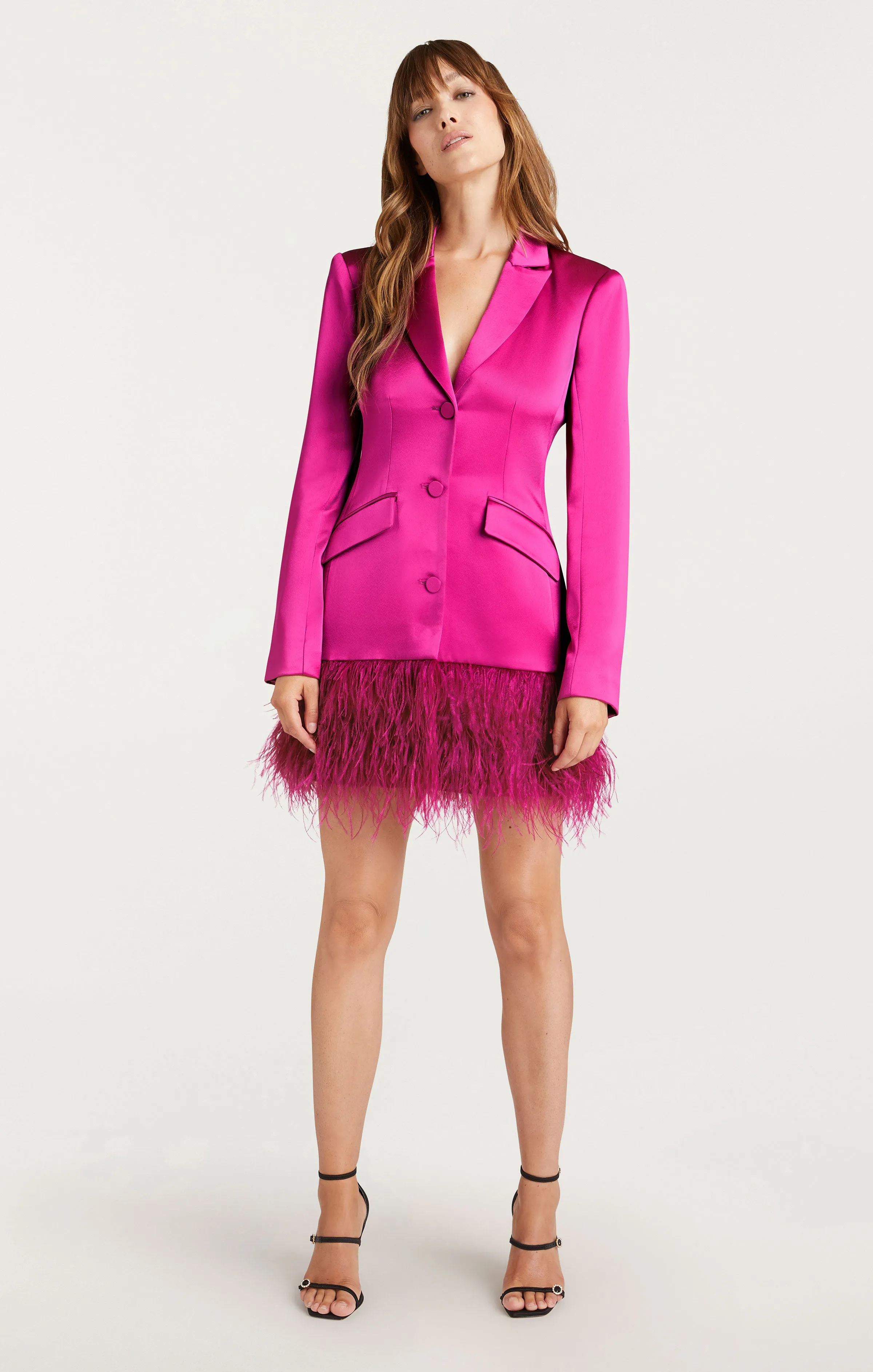 Long Sleeve Feather Joel Dress
